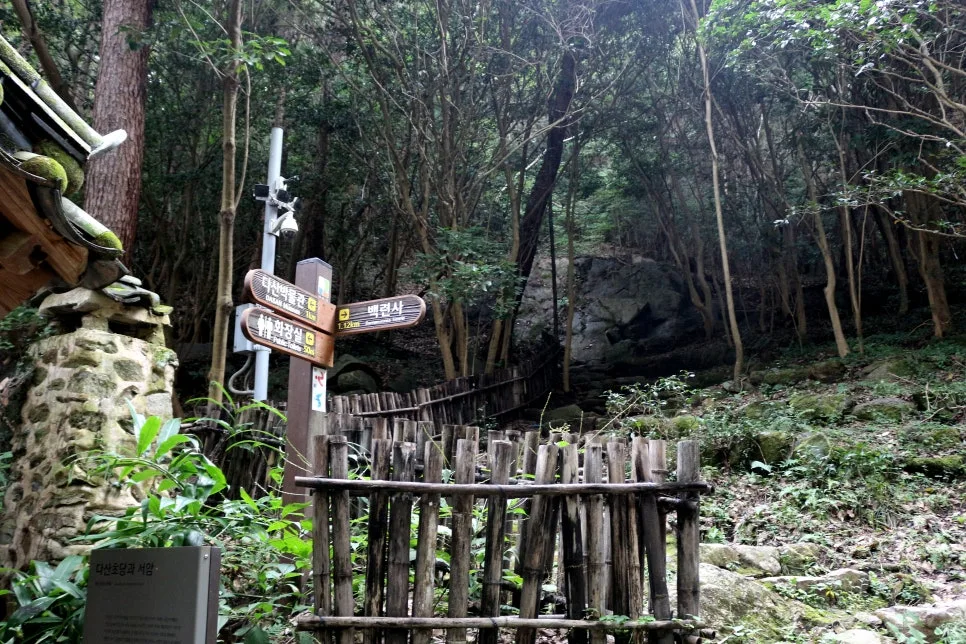 %EA%BE%B8%EB%AF%B8%EA%B8%B0IMG_6380.JPG?type=w966