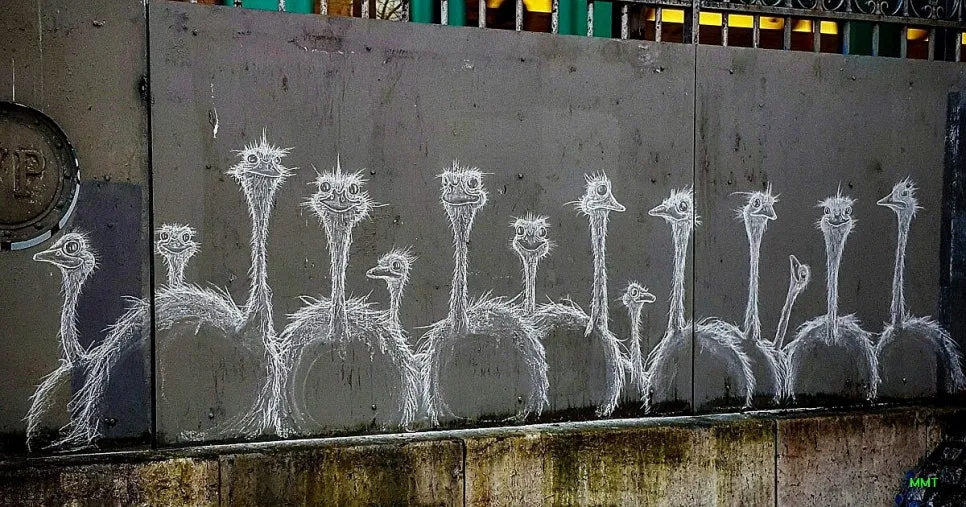 17211918_1617747464921157_8412594394126749469_o%EC%88%98%EC%A0%95%EC%88%98%EC%A0%95.jpg?type=w966