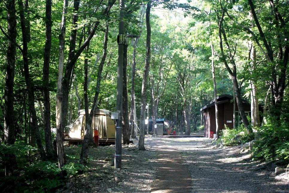 %EA%BE%B8%EB%AF%B8%EA%B8%B0%EA%BE%B8%EB%AF%B8%EA%B8%B0IMG_8623.JPG?type=w966