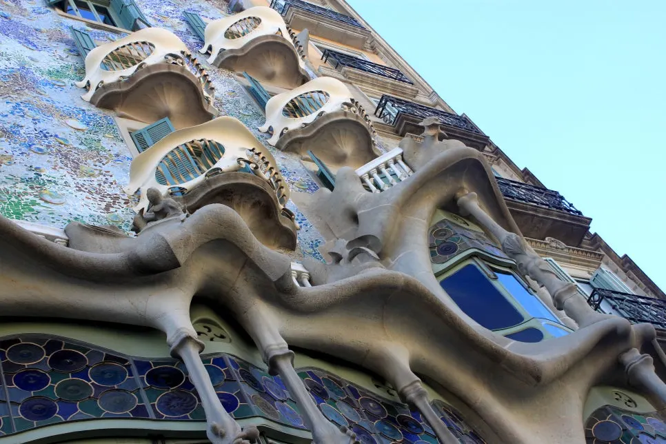 %EA%BE%B8%EB%AF%B8%EA%B8%B0IMG_7227.JPG?type=w966