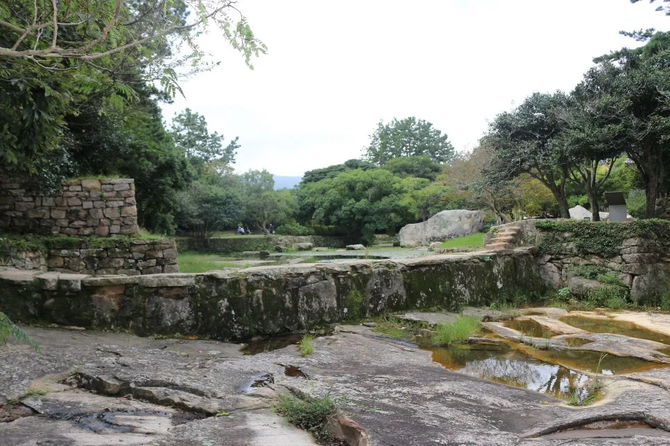 %EA%BE%B8%EB%AF%B8%EA%B8%B0%EA%BE%B8%EB%AF%B8%EA%B8%B0IMG_6615.JPG?type=w966