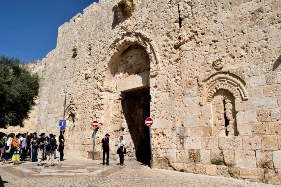 %EA%BE%B8%EB%AF%B8%EA%B8%B020cf42a1bf5ca367f11a713ace119d5c.jpg?type=w966