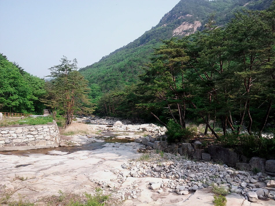 %EA%BE%B8%EB%AF%B8%EA%B8%B0%EA%BE%B8%EB%AF%B8%EA%B8%B0254EE03B537BE5E42E.jpg?type=w966