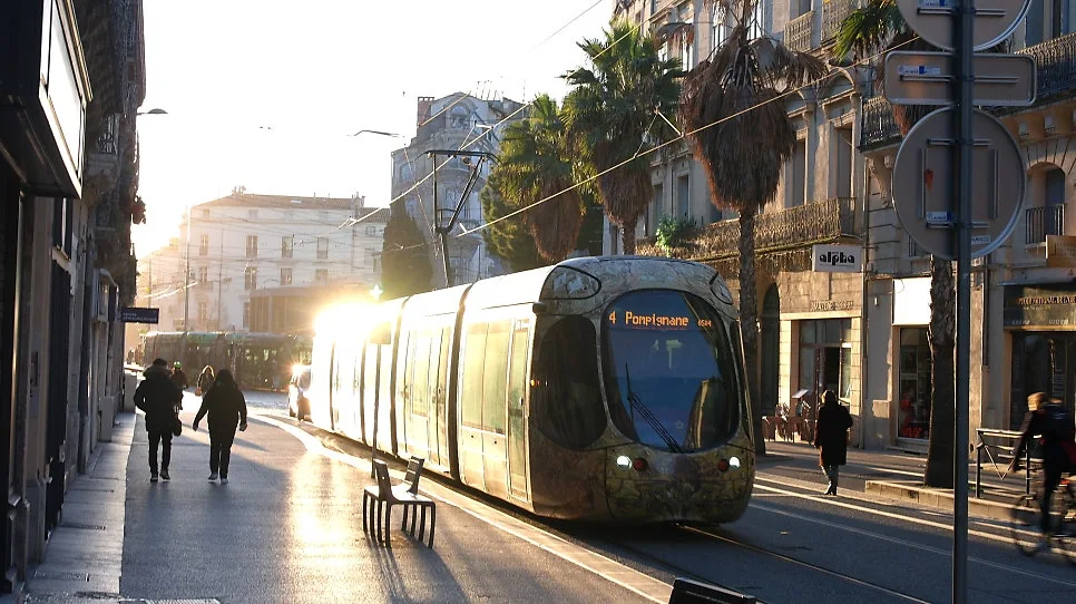 SAM_0266%EC%88%98%EC%A0%95.JPG?type=w966