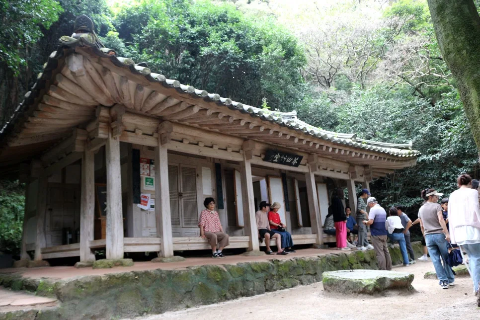 %EA%BE%B8%EB%AF%B8%EA%B8%B0IMG_6381.JPG?type=w966