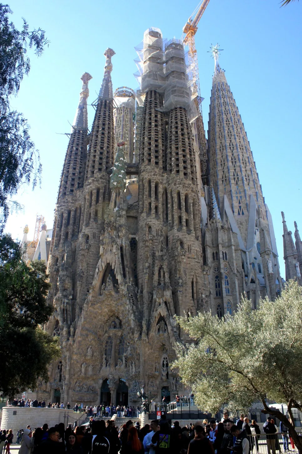 %EA%BE%B8%EB%AF%B8%EA%B8%B0IMG_7159.JPG?type=w966