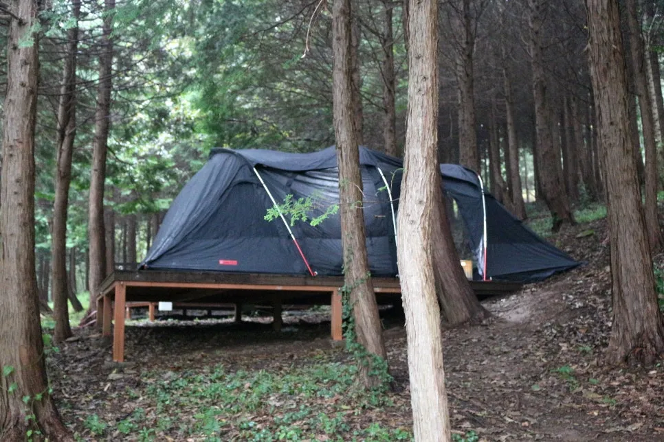 %EA%BE%B8%EB%AF%B8%EA%B8%B0IMG_6410.JPG?type=w966