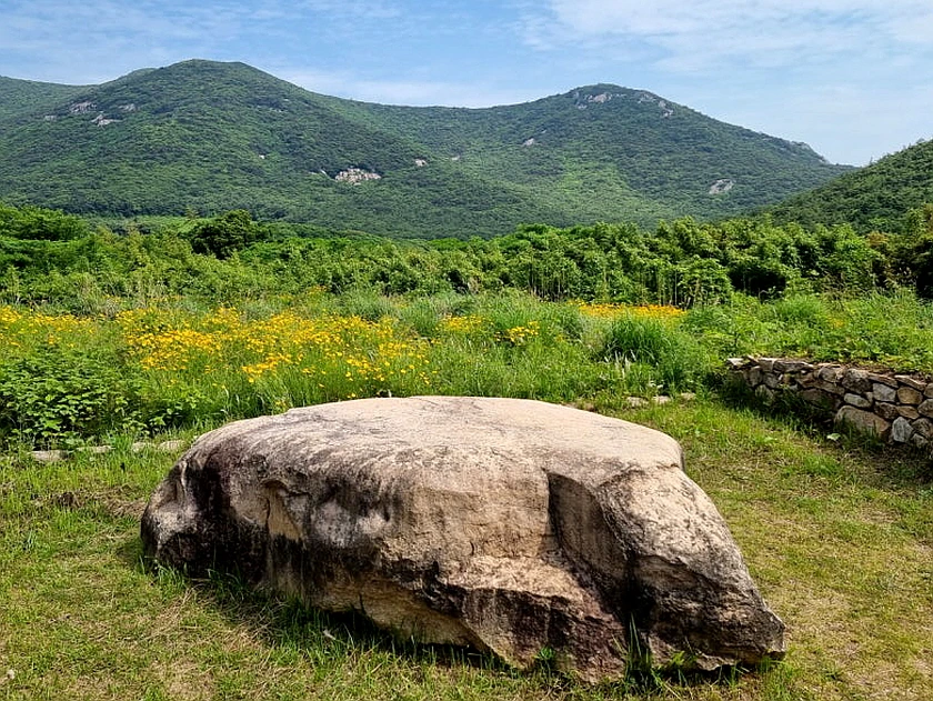 %EA%BE%B8%EB%AF%B8%EA%B8%B020220611_095136.jpg?type=w966