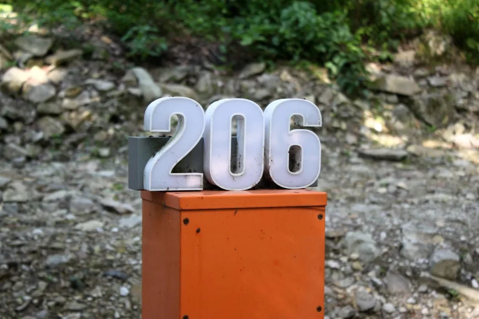 %EA%BE%B8%EB%AF%B8%EA%B8%B0%EA%BE%B8%EB%AF%B8%EA%B8%B0IMG_8610.JPG?type=w966