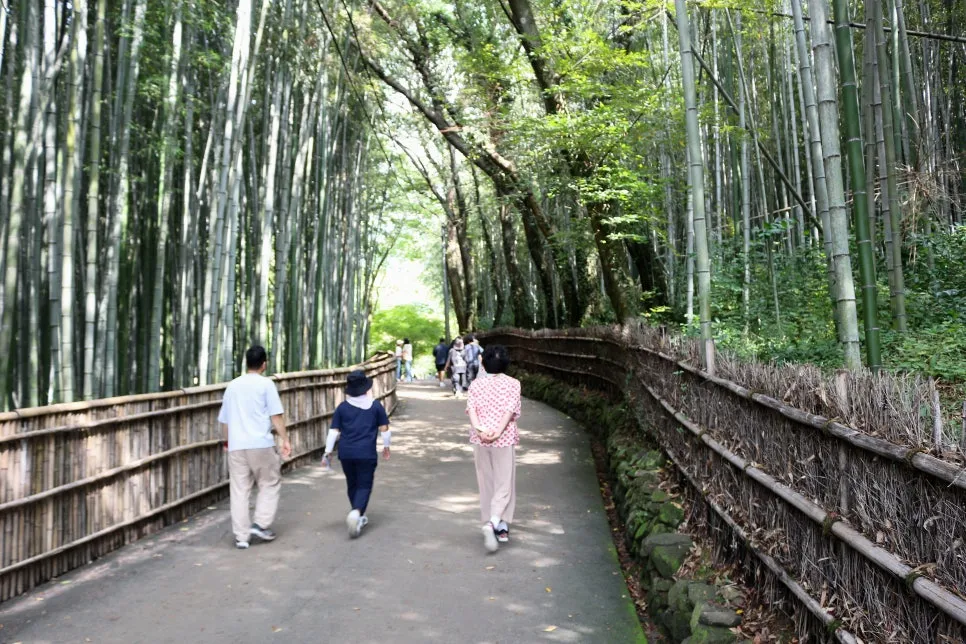 %EA%BE%B8%EB%AF%B8%EA%B8%B0IMG_6265.JPG?type=w966