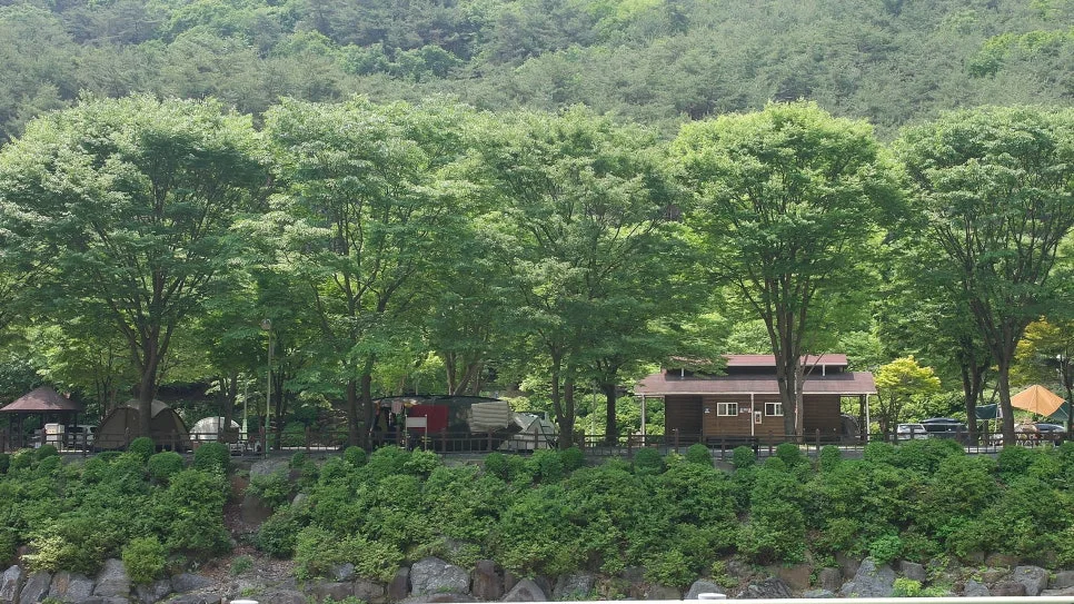 %EA%BE%B8%EB%AF%B8%EA%B8%B0%EA%BE%B8%EB%AF%B8%EA%B8%B0SAM_0074.JPG?type=w966