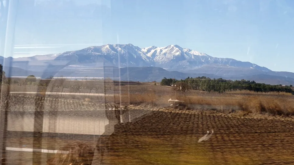 %EA%BE%B8%EB%AF%B8%EA%B8%B020230203_130706.jpg?type=w966