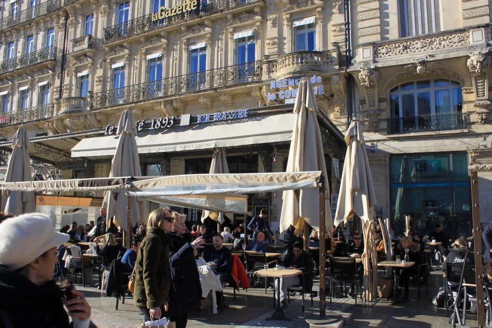 IMG_6720%EC%88%98%EC%A0%95.JPG?type=w966