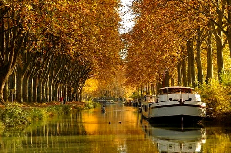 1314839-Languedoc-Roussillon_le_canal_du_Midi%EC%88%98%EC%A0%95.jpg?type=w966