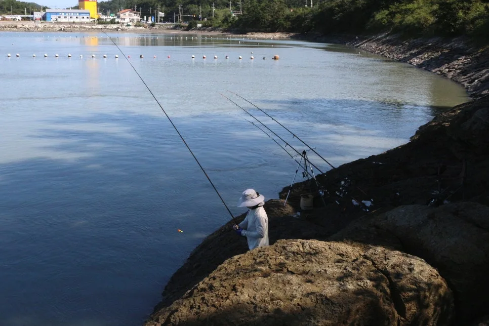 %EA%BE%B8%EB%AF%B8%EA%B8%B0IMG_6975.JPG?type=w966