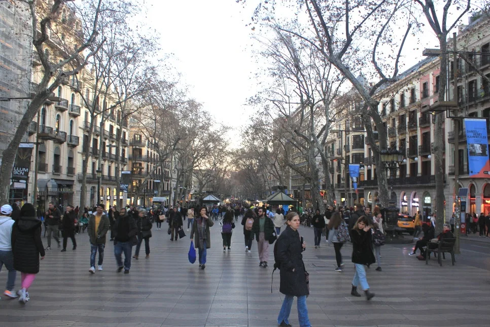 %EA%BE%B8%EB%AF%B8%EA%B8%B0IMG_6804.JPG?type=w966