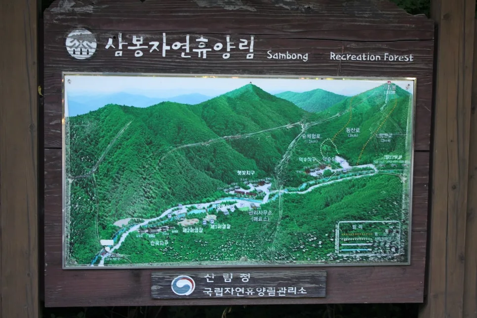 %EA%BE%B8%EB%AF%B8%EA%B8%B0%EA%BE%B8%EB%AF%B8%EA%B8%B0IMG_8640.JPG?type=w966