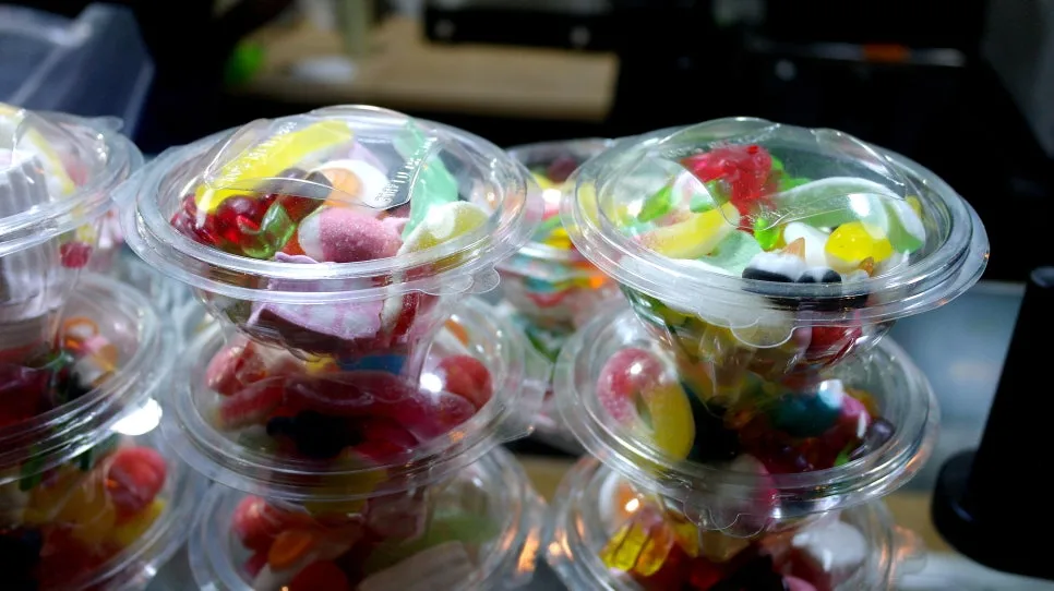 SAM_0354%EC%88%98%EC%A0%95.JPG?type=w966