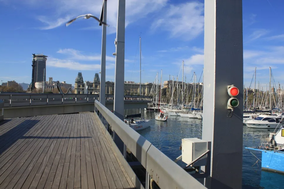 %EA%BE%B8%EB%AF%B8%EA%B8%B0IMG_7047.JPG?type=w966