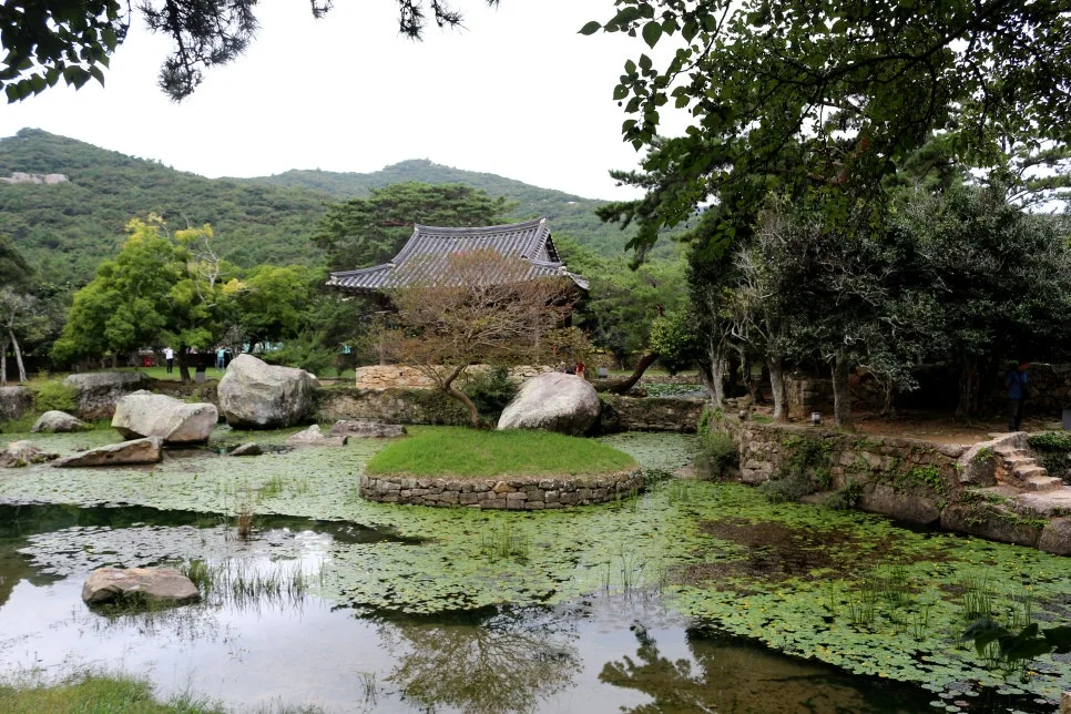 %EA%BE%B8%EB%AF%B8%EA%B8%B0%EA%BE%B8%EB%AF%B8%EA%B8%B0IMG_6619.JPG?type=w966