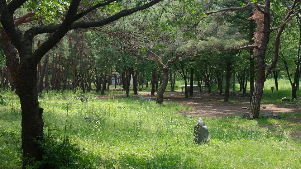 %EA%BE%B8%EB%AF%B8%EA%B8%B0%EA%BE%B8%EB%AF%B8%EA%B8%B0SAM_0075.JPG?type=w966