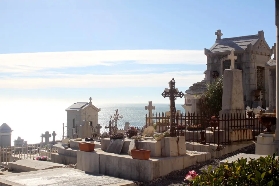 IMG_6644%EC%88%98%EC%A0%95.JPG?type=w966