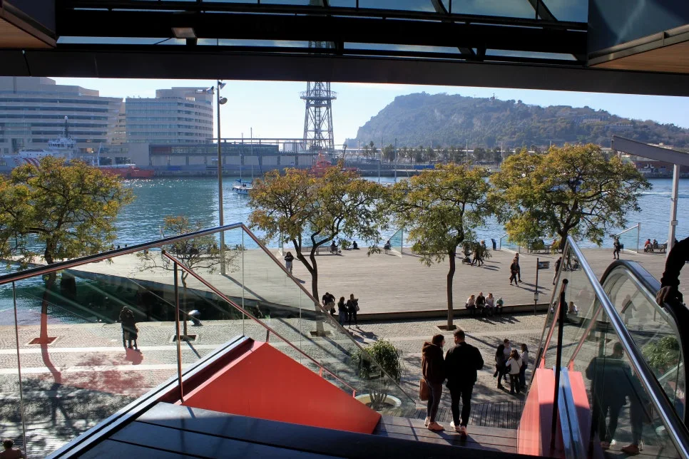 %EA%BE%B8%EB%AF%B8%EA%B8%B0IMG_7025.JPG?type=w966