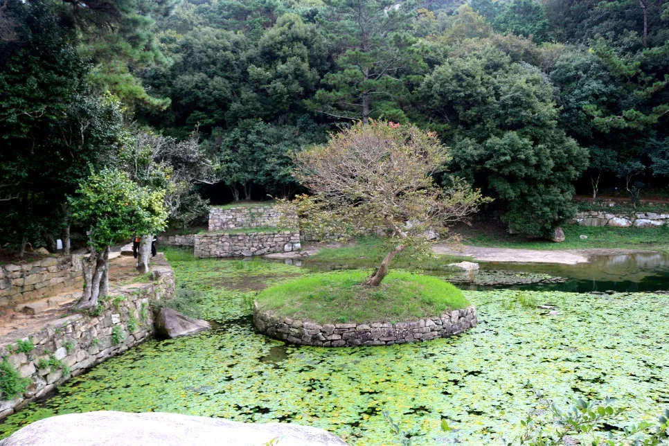 %EA%BE%B8%EB%AF%B8%EA%B8%B0%EA%BE%B8%EB%AF%B8%EA%B8%B0IMG_6600.JPG?type=w966