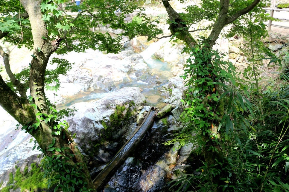 img.jpg?credential=yqXZFxpELC7KVnFOS48ylbz2pIh7yKj8&expires=1761922799&allow_ip=&allow_referer=&signature=bgNpERns7z6S53c1gdH7PvPJrxE%3D