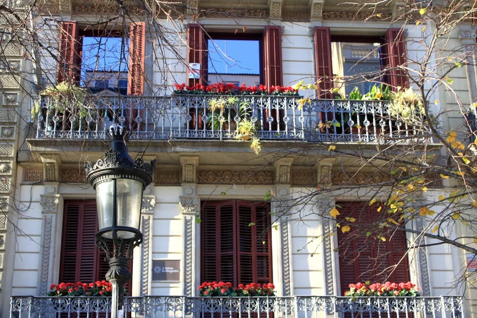 %EA%BE%B8%EB%AF%B8%EA%B8%B0IMG_6834.JPG?type=w966