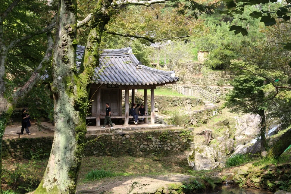 %EA%BE%B8%EB%AF%B8%EA%B8%B0IMG_6269.JPG?type=w966