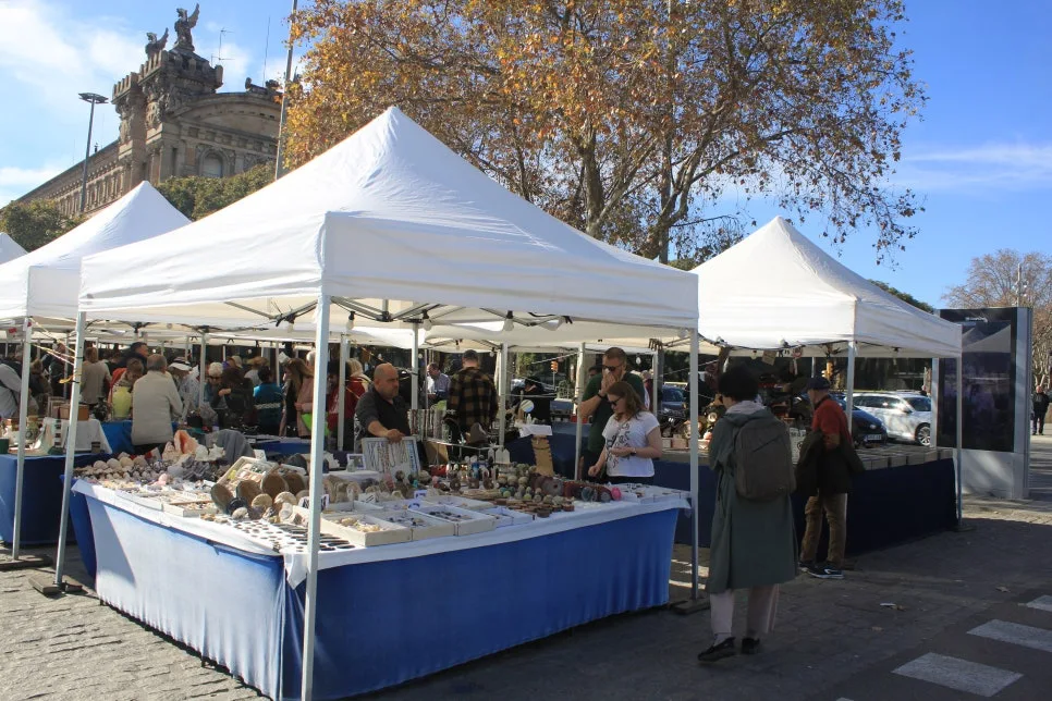 %EA%BE%B8%EB%AF%B8%EA%B8%B0IMG_6995.JPG?type=w966