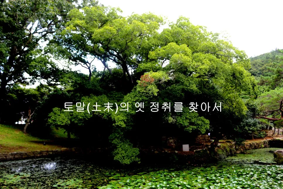 %EA%BE%B8%EB%AF%B8%EA%B8%B0IMG_6606.JPG?type=w966