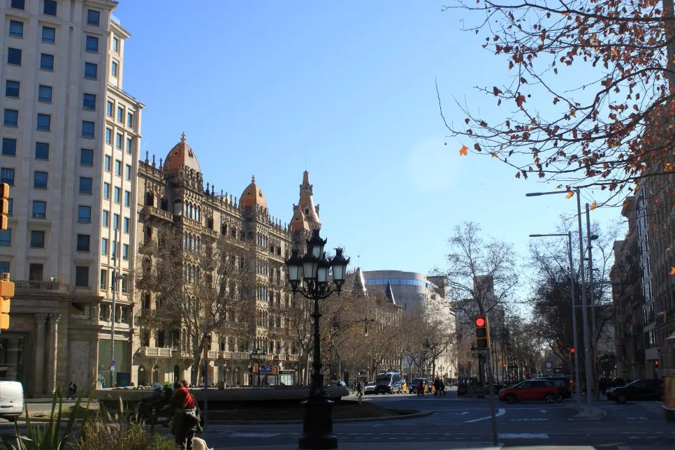 %EA%BE%B8%EB%AF%B8%EA%B8%B0IMG_7233.JPG?type=w966