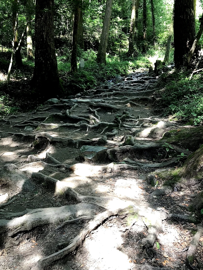 %EA%BE%B8%EB%AF%B8%EA%B8%B01599195329_1.jpeg?type=w966