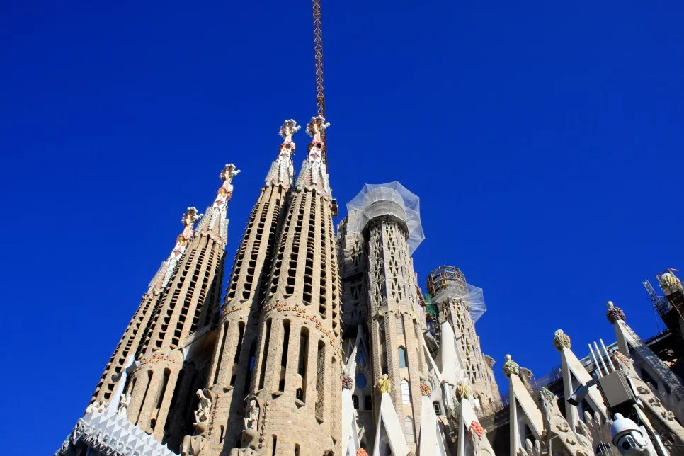 %EA%BE%B8%EB%AF%B8%EA%B8%B0IMG_7167.JPG?type=w966