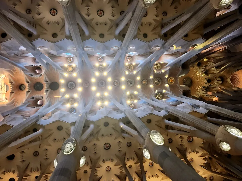 %EA%BE%B8%EB%AF%B8%EA%B8%B020230205_081701.jpg?type=w966