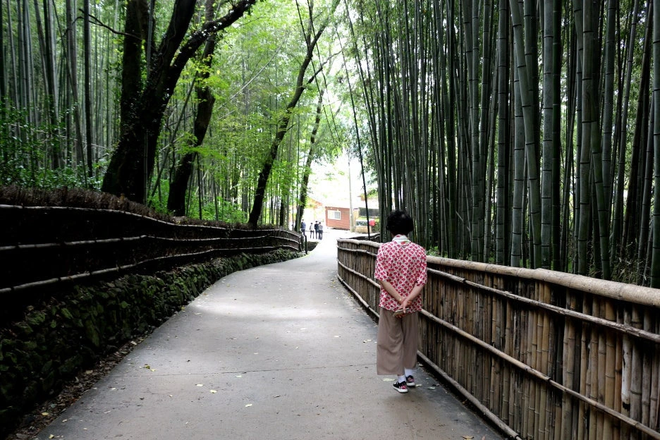 img.jpg?credential=yqXZFxpELC7KVnFOS48ylbz2pIh7yKj8&expires=1761922799&allow_ip=&allow_referer=&signature=iHa3R6Dc%2BDVxE5pvIoQWJgG5%2FoQ%3D