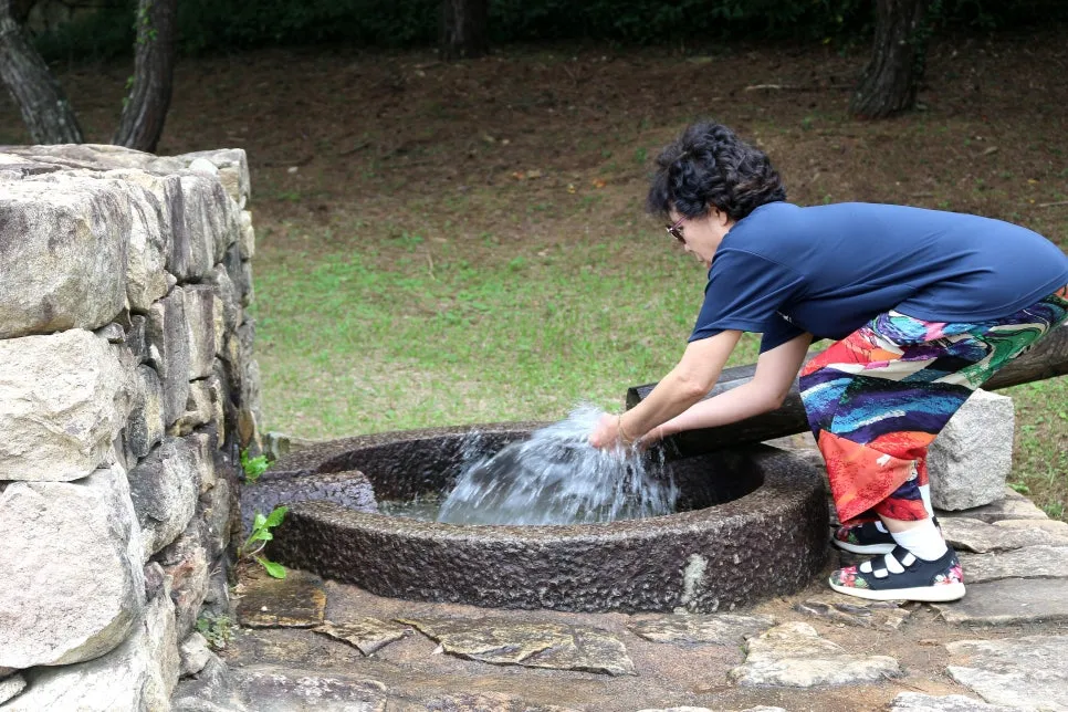 %EA%BE%B8%EB%AF%B8%EA%B8%B0%EA%BE%B8%EB%AF%B8%EA%B8%B0IMG_6642.JPG?type=w966