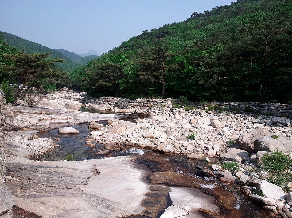 %EA%BE%B8%EB%AF%B8%EA%B8%B0%EA%BE%B8%EB%AF%B8%EA%B8%B02642C03A537BE60E2C.jpg?type=w966