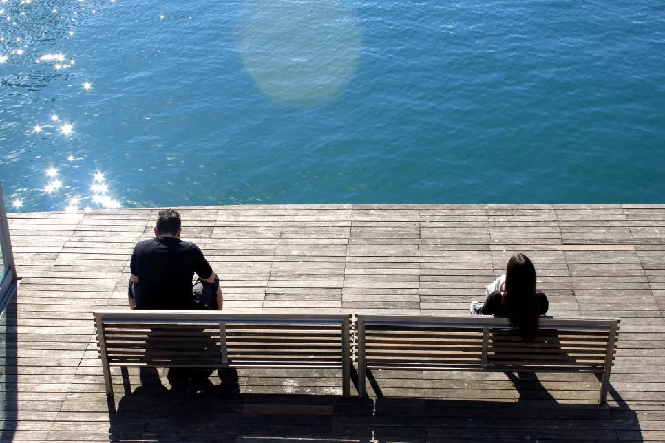 %EA%BE%B8%EB%AF%B8%EA%B8%B0IMG_7019.JPG?type=w966