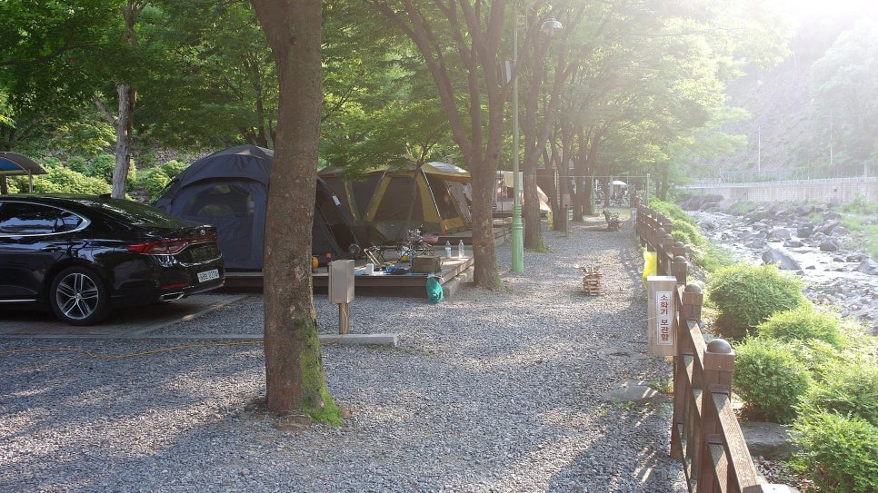 23908de5dbeb603acb927d709bf4844a6f4de6c9.jpg?type=w966