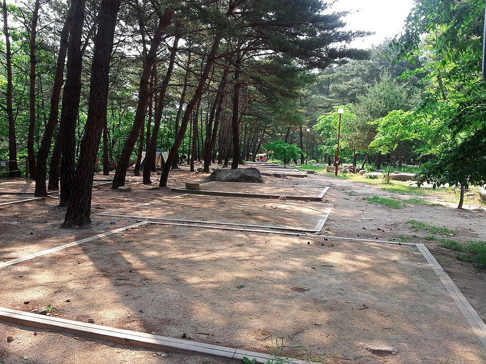 %EA%BE%B8%EB%AF%B8%EA%B8%B0%EA%BE%B8%EB%AF%B8%EA%B8%B0230E403E537BD83217.jpg?type=w966