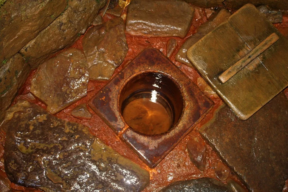 %EA%BE%B8%EB%AF%B8%EA%B8%B0%EA%BE%B8%EB%AF%B8%EA%B8%B0IMG_8647.JPG?type=w966