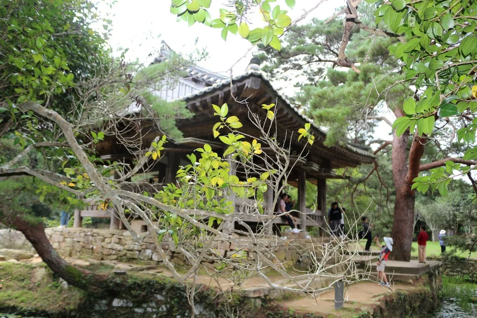 %EA%BE%B8%EB%AF%B8%EA%B8%B0%EA%BE%B8%EB%AF%B8%EA%B8%B0IMG_6611.JPG?type=w966