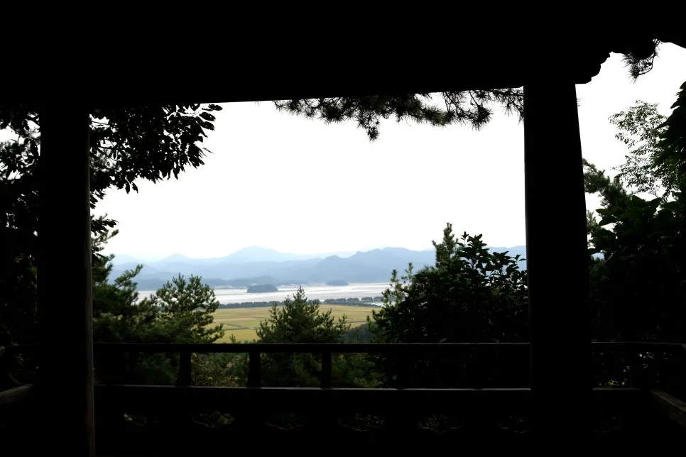 %EA%BE%B8%EB%AF%B8%EA%B8%B0IMG_6389.JPG?type=w966