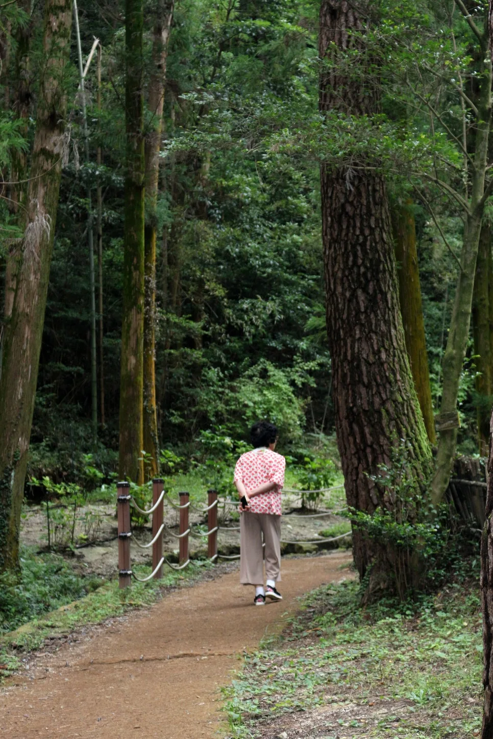 %EA%BE%B8%EB%AF%B8%EA%B8%B0IMG_6374.JPG?type=w966