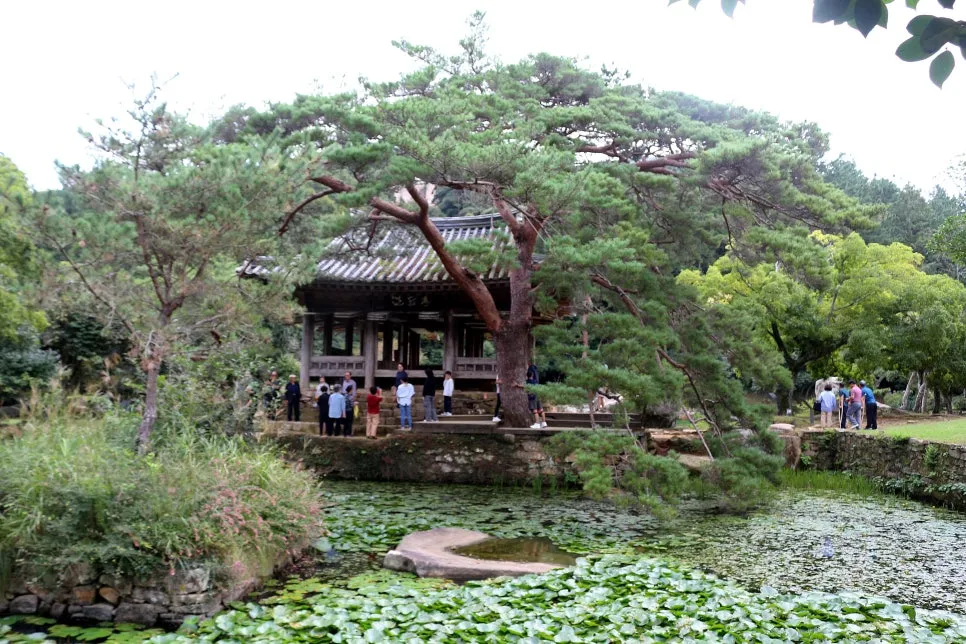 %EA%BE%B8%EB%AF%B8%EA%B8%B0%EA%BE%B8%EB%AF%B8%EA%B8%B0IMG_6605.JPG?type=w966