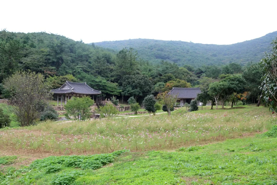 %EA%BE%B8%EB%AF%B8%EA%B8%B0%EA%BE%B8%EB%AF%B8%EA%B8%B0IMG_6635.JPG?type=w966