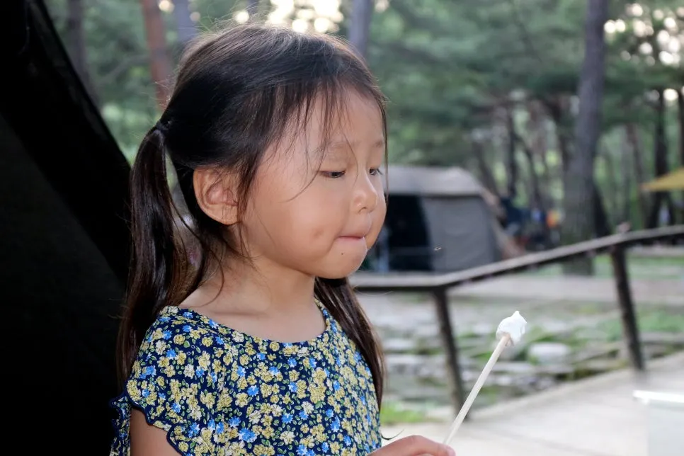 %EA%BE%B8%EB%AF%B8%EA%B8%B0%EA%BE%B8%EB%AF%B8%EA%B8%B0IMG_6156.JPG?type=w966